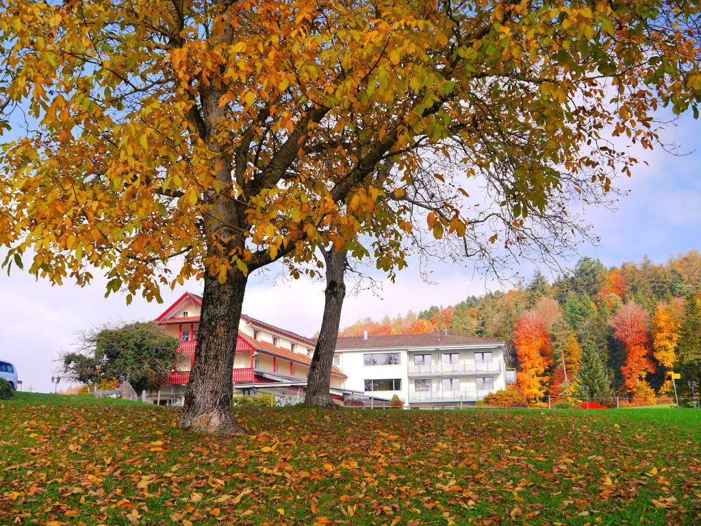 Blog Eichberg Webseite